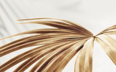 Oréâme recrute de nouveaux professionnels de la santé et du bien-être !