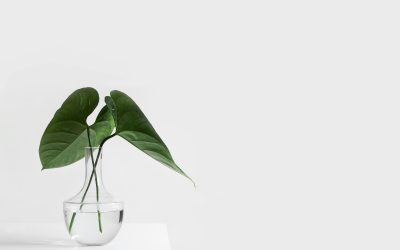 Viser la santé globale avec l’ostéopathie