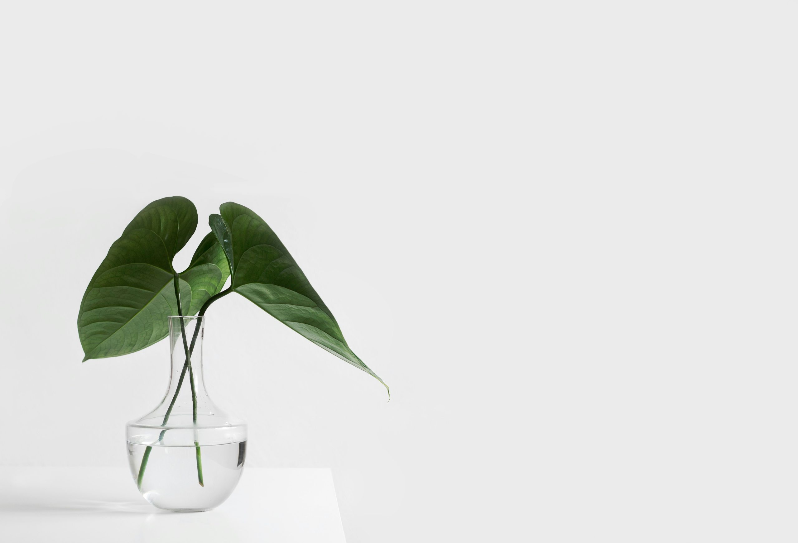 Oréâme – Espace de santé et bien-être à Longueuil – Hypnose, ostéopathie et soins énergétiques Oréâme - Espace de santé et bien-être à Longueuil - Hypnose, ostéopathie et soins énergétiques